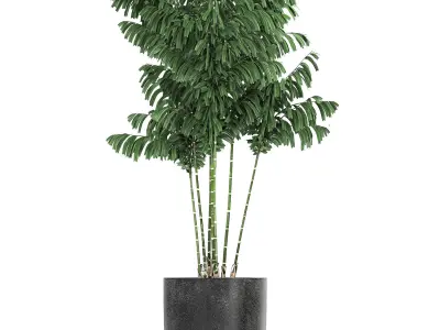 Collection of decorative plants in flowerpots 808 3D model