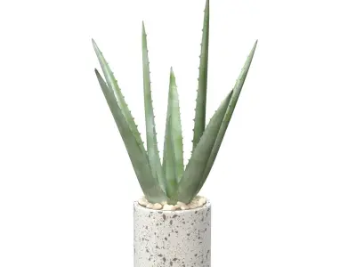 Healthy Aloe Vera Plant In Ceramic Vase PBR 3D model