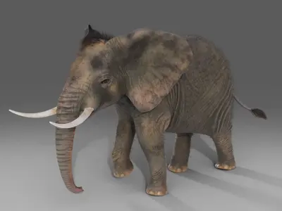 Fur Elephant Rigged in Blender  Zbrush Low-poly 3D model