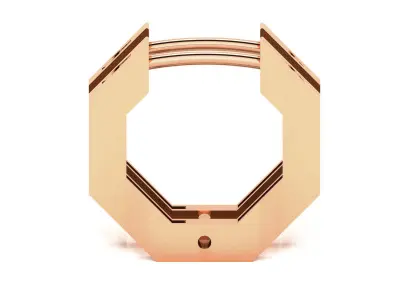 Women Earrings 3D print model