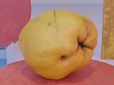 Quince fruit 01 high-poly 3D model