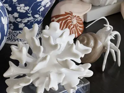 Marine collection vases on shelf 3D model