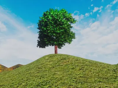Hill Tree Free 3D model