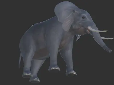 African elephant Low-poly 3D model 2