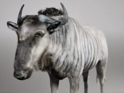 Wildebeest RIG UNREAL project  Maya base rig 3D model