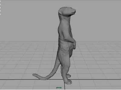 Meerkat Low-poly 3D model