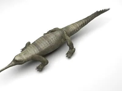 Crocodile 3D model