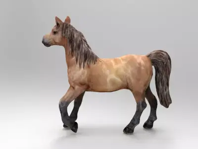 HORSE Low-poly 3D model 5