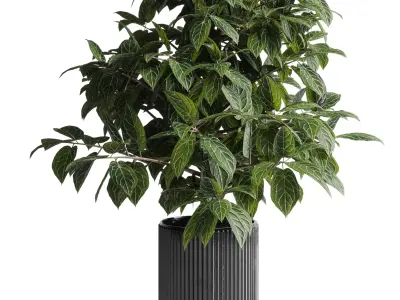 indoor plant 295 pot plant concrete dirt vase Low-poly 3D model