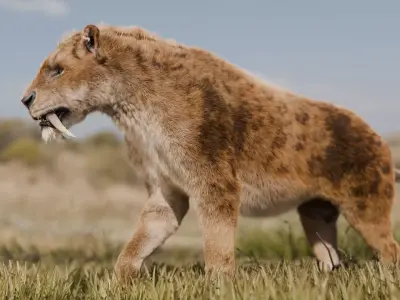 Smilodon Saber-toothed Tiger 3D model