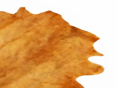 Brown Cowhide Rug 3D model