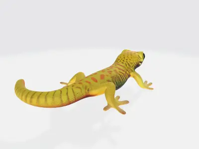 Cute Gecko Lizzard Realistic Model High Poly 3D model