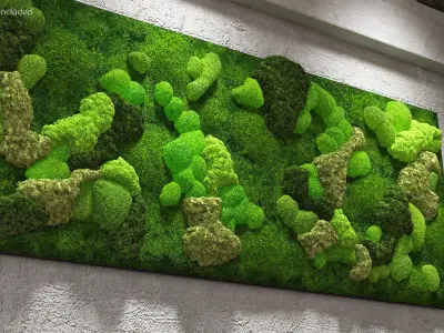 Reindeer Moss Wall Fur 3D model