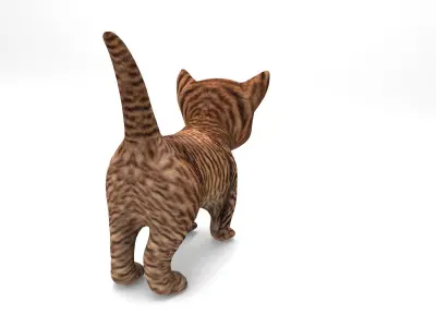 3D Cartoon Cat Animated Model Low-poly 3D model