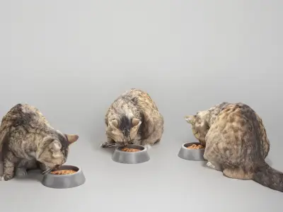 Fluffy cat 22 Low-poly 3D model