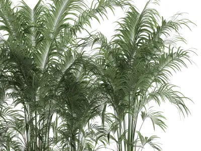 Decorative palm in a flowerpot 691 3D model