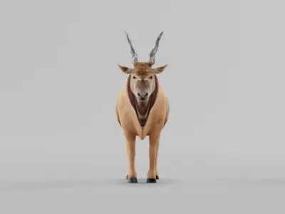 Greater Eland Antelope Low-poly 3D model