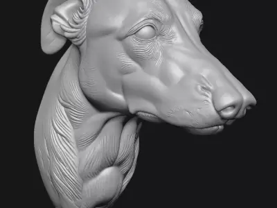 Greyhound 3D print model