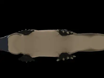 Pam the Platypus Low-poly 3D model
