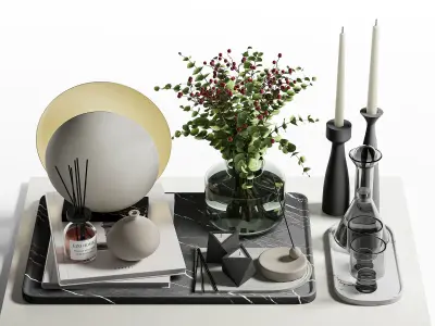 Decorative Set 16 3D model buy