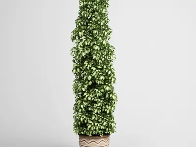 CGAXIS plants collection volume 1 3D model