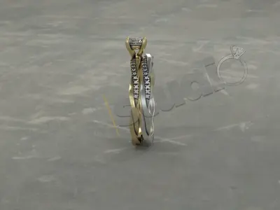 Brilliant diamond double ring  3D print model