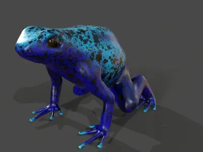 blue frog Dendrobates azureus pbr Low-poly 3D model