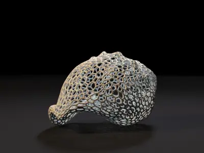 Seashell  3D print model