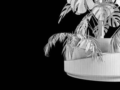 Monstera and Palm plant 3D model