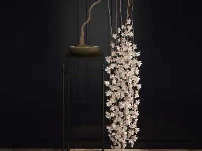 Bonsai Magnolia 3D model