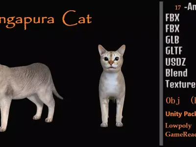 Singapura Cat Low-poly 3D model