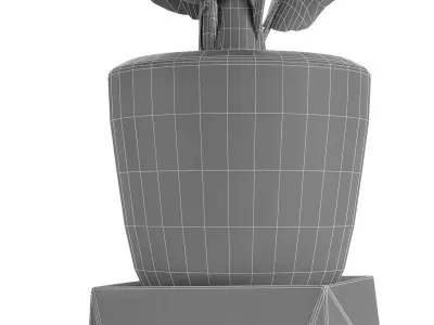 Plant in Pot Flowerpot Exotic Plant 3D model 22
