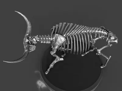 Silver Bison Latifrons Skeleton 3D model