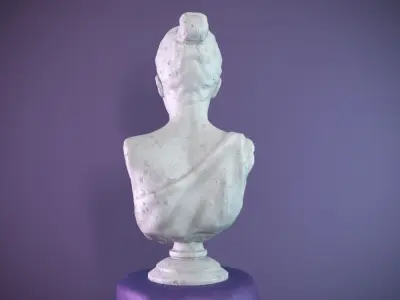 Female Bust Free 3D model