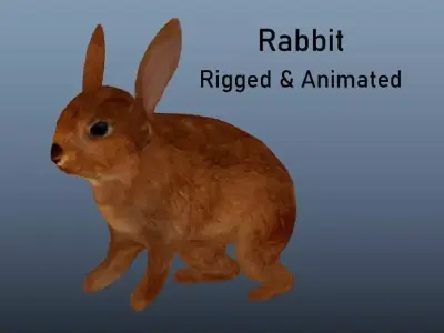 Rabbit Animated VFX Grace Low-poly Low-poly 3D model