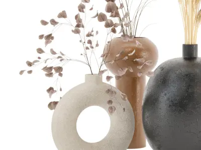 Dry plants 09 - Dried Plantset Pampas whit Concrete vase  3D model