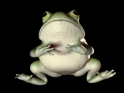 Frog 001 3D model