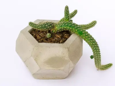 Vase Mold Low Poly 3D print model