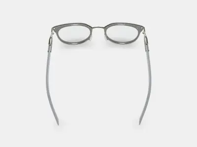 Whittier Eyeglasses in Soapstone with Riesling 3D model