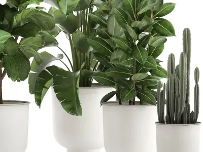 Houseplants in a white pot for the interior 906 3D model