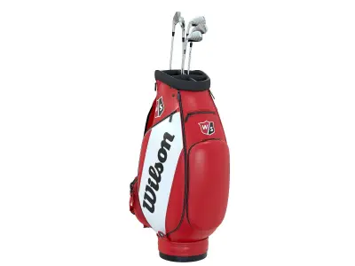 Wilson Golf Bag Red Low-poly 3D model