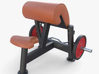 Curl bench 3D model