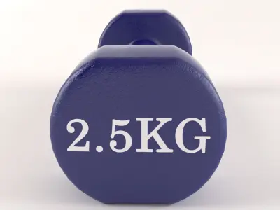 Metal 5kg Dumbell 3D model