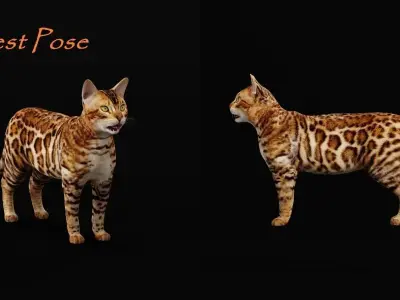 Bengal Cat Low-poly 3D model
