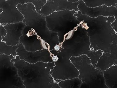 Jewelry Earring 3D print model