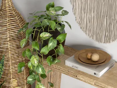 Decor set wooden table with plants and wall hanging 3D model