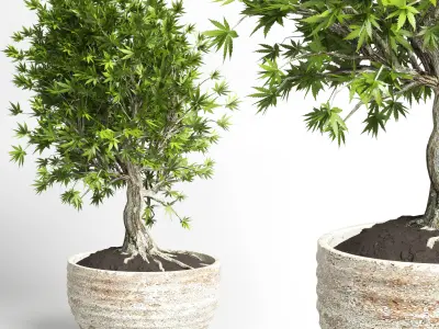 collection outdoor plant 20 -concrete old vase Low-poly 3D model