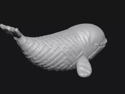 Beluga whale 3D print model