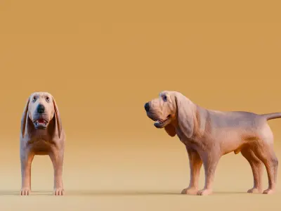Low poly - Stylized dog - Bloodhound  Low-poly 3D model