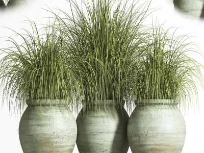 plant outdoor set 01 3D model